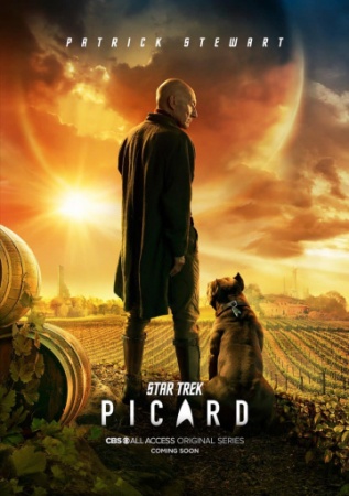 Звёздный путь: Пикар (сериал 2020 )смотреть онлайн бесплатно на ок фильм 2020
