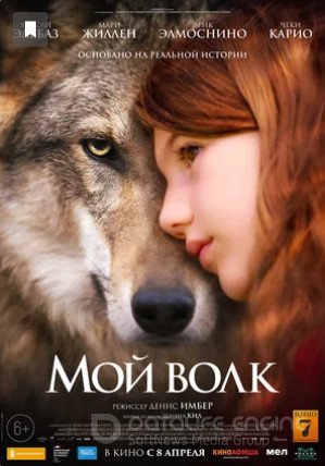 Смотреть Мой волк (фильм, 2021) в хорошем качестве HD 1080 2021