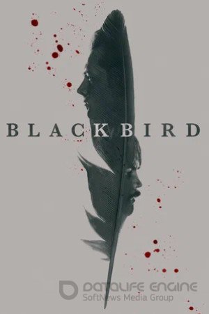 Чёрная птица (мини–сериал 2022) 2022